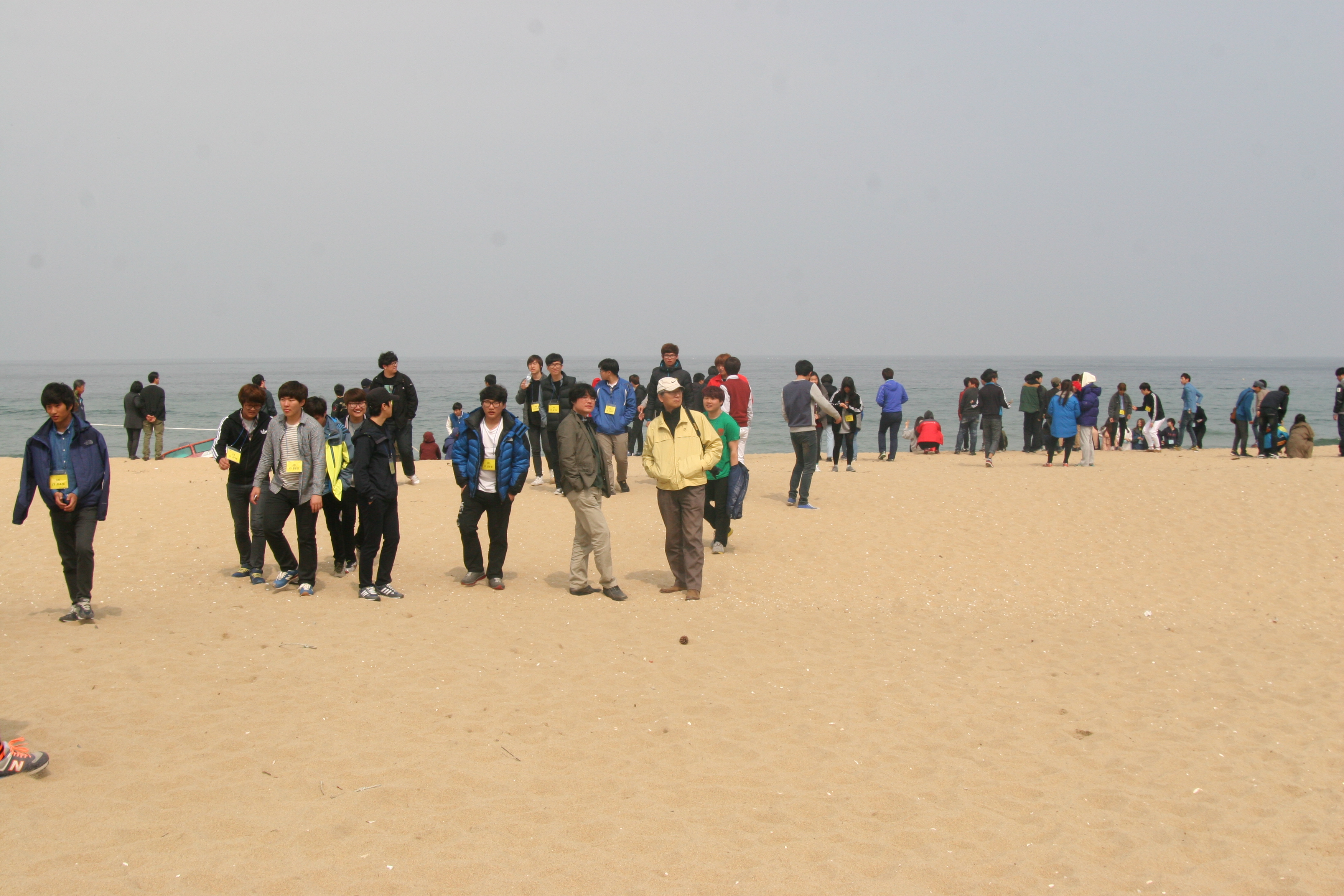 2013년도 학부 건축답사 - 정동진 게시글의 9 번째 이미지