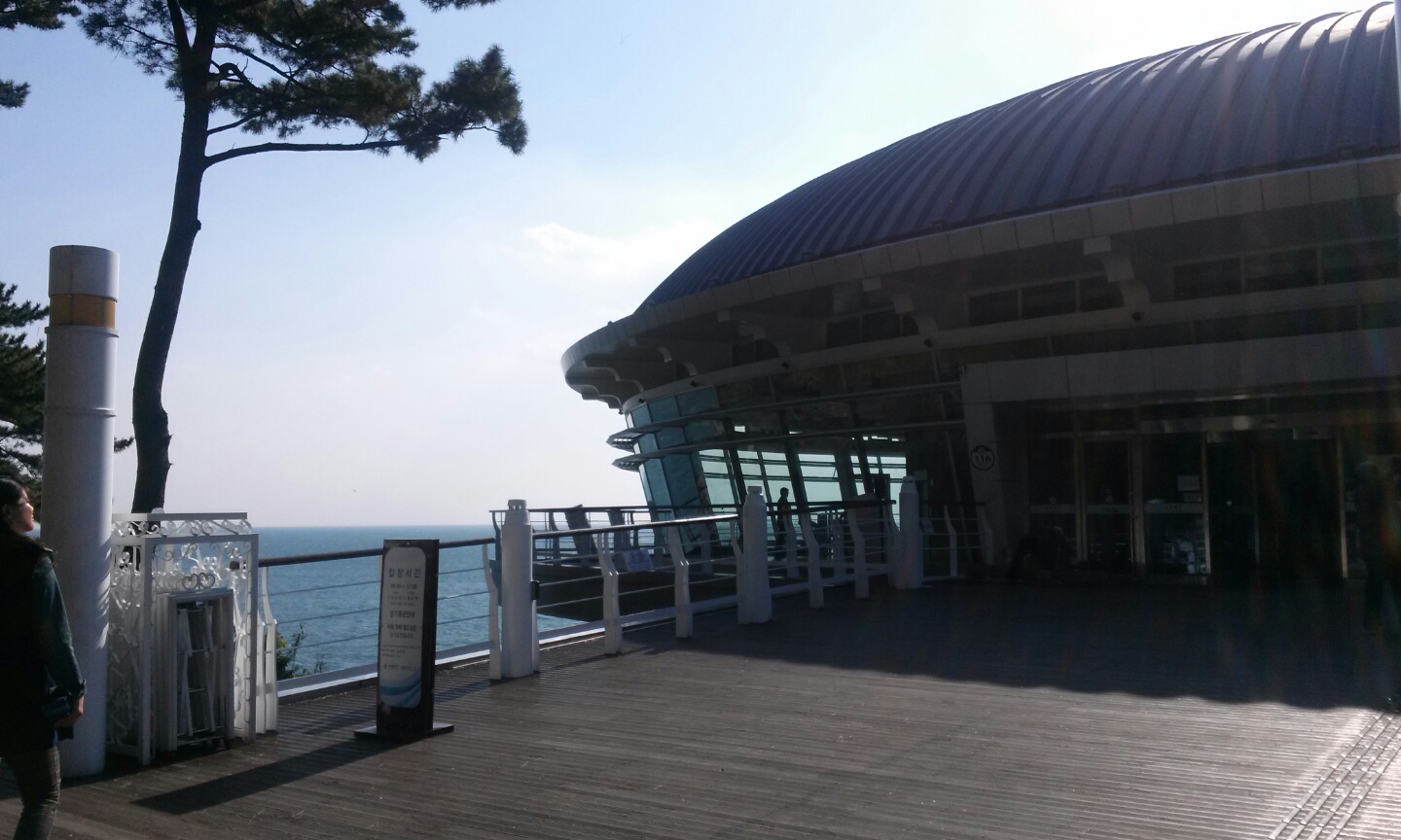 중국학과 학술답사 부산 동백섬 및 부산항홍보관 게시글의 6 번째 이미지