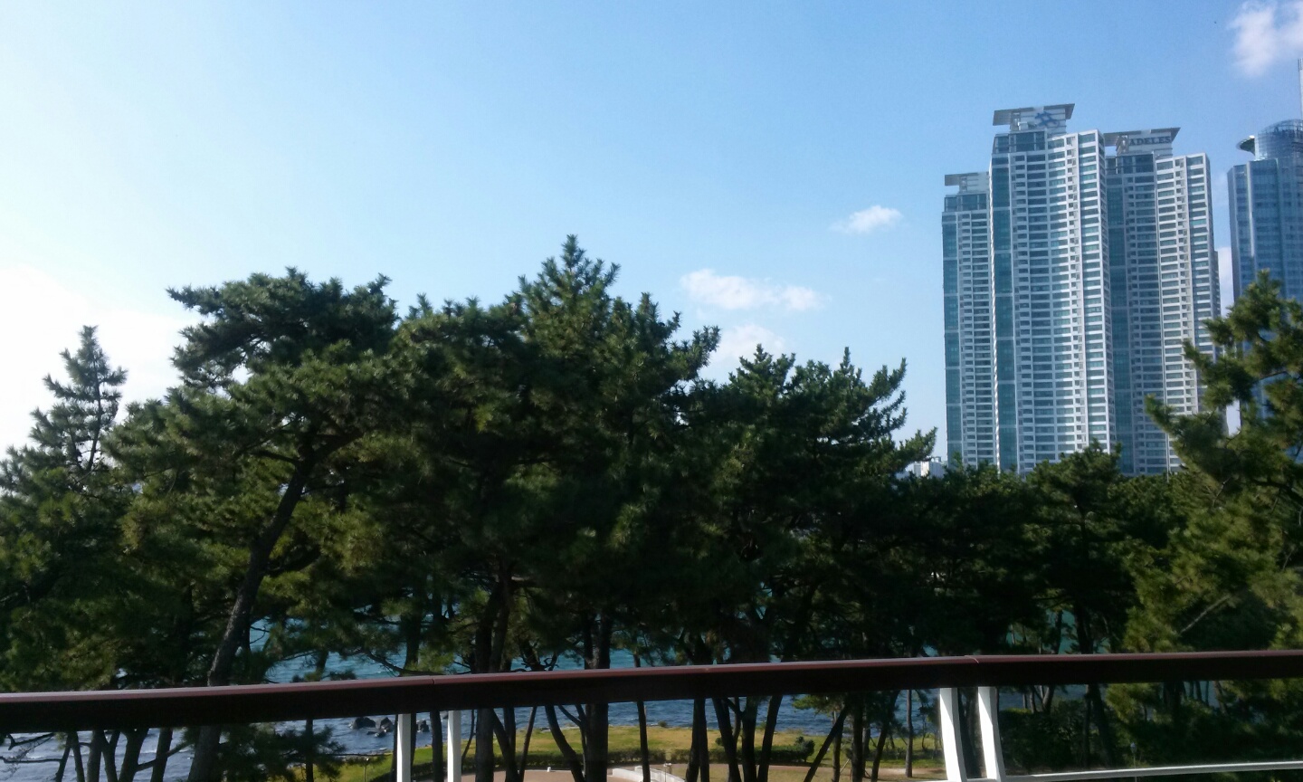 중국학과 학술답사 부산 동백섬 및 부산항홍보관 게시글의 7 번째 이미지