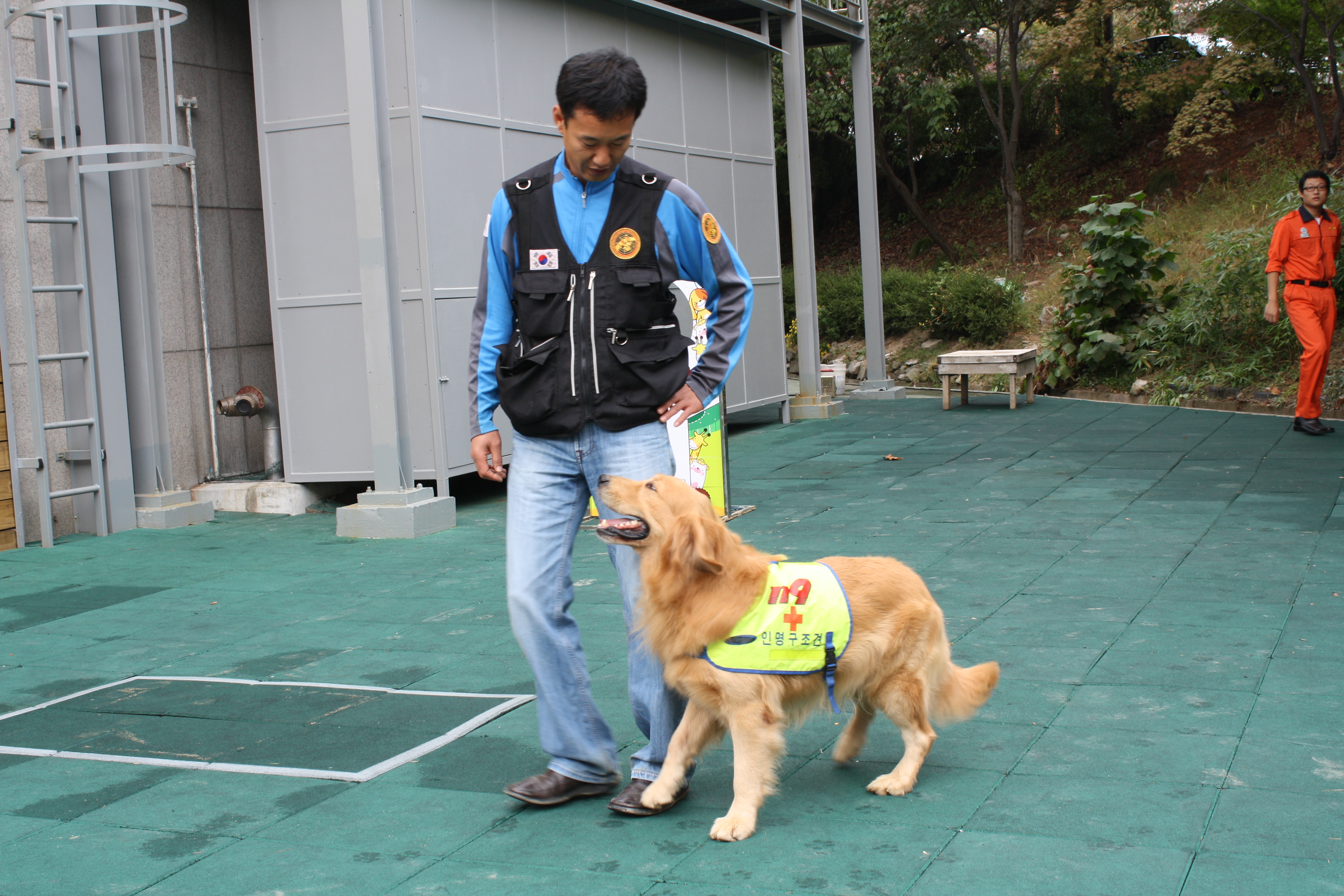 소방안전관리학과 게시글의 1 번째 이미지