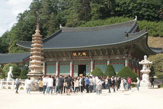 2018학년도 추계 정기 고적 답사 사진 게시글의 4 번째 이미지