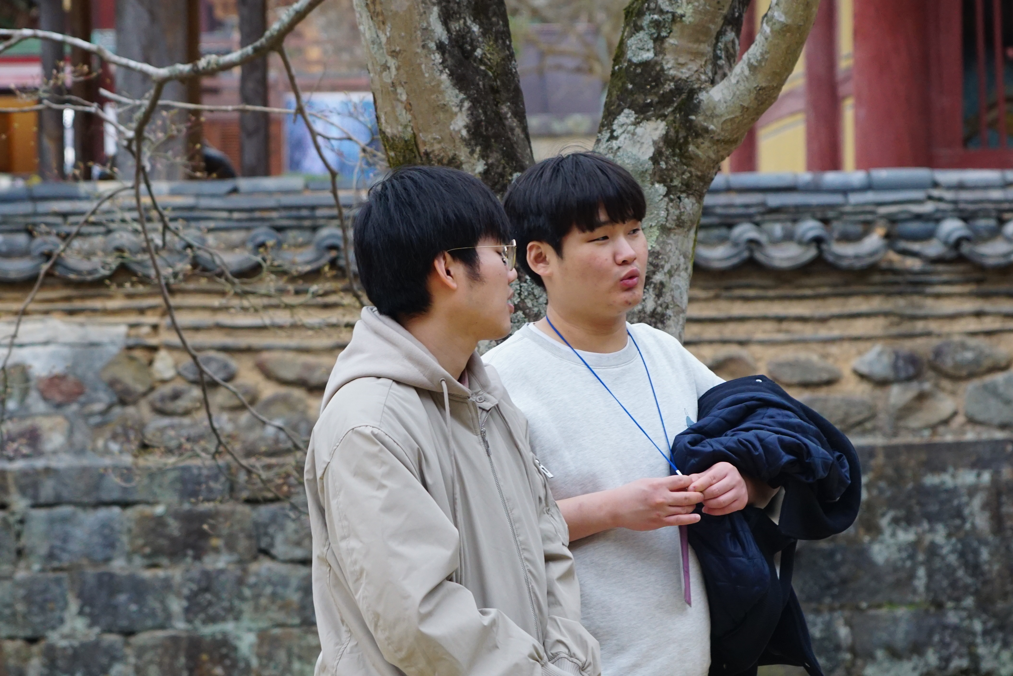 2025학년도 춘계정기고적답사 게시글의 5 번째 이미지