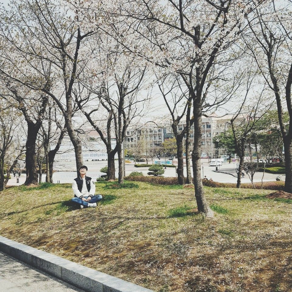 2학년 국어교과교육론, '벚꽃 속에서 교육을 맛보다' 게시글의 4 번째 이미지