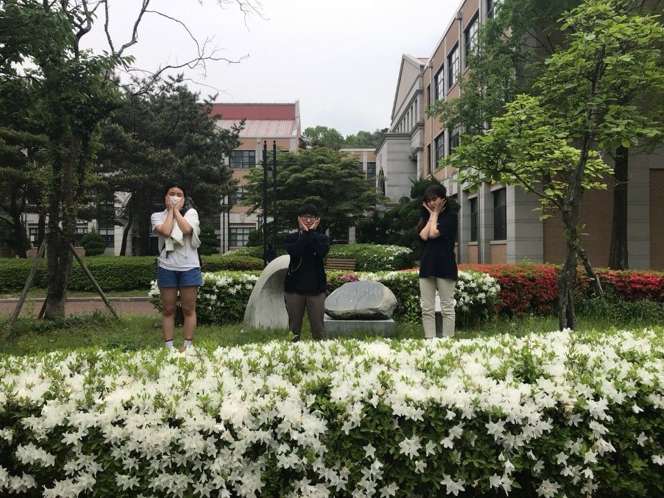 국어교재연구및지도법, 평화의 시작-PBL, 벚꽃과 함께 국어교육학 꽃이 활짝 피다 :) 게시글의 2 번째 이미지