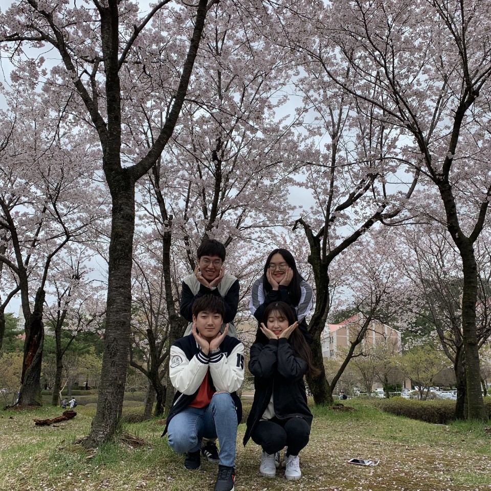 3학년 국어교과교재및연구법, 벚꽃에서 국어교육을 보다. 게시글의 7 번째 이미지