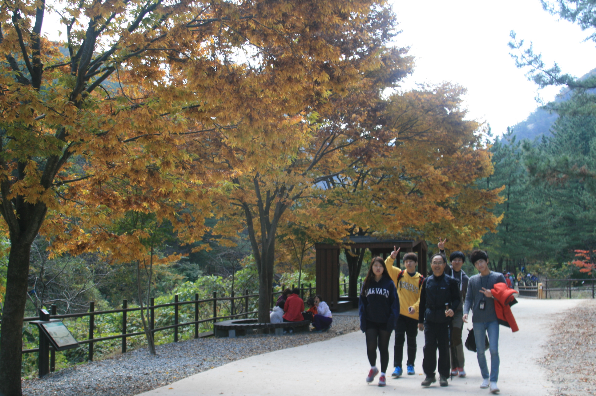 2013-2 중간고사 후 등산^^ 게시글의 9 번째 이미지