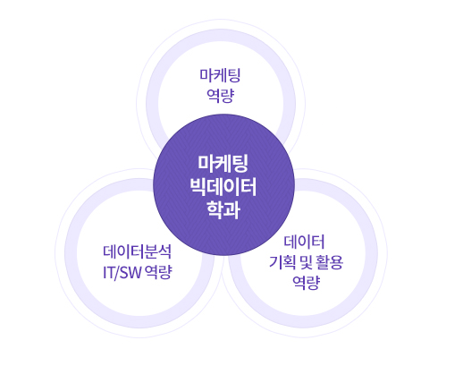 마케팅빅데이터학과 - 마케팅역량, 데이터분석 IT/SW 역량, 데이터 기획 및 활용 역량